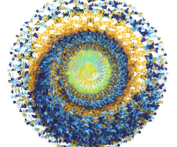 Dreamcatcher Light On In The Sky